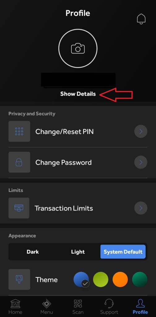 How to Check BVN on the Access More App